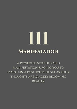 111 - Manifestation