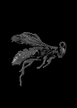 Text Art Wasp Illustration — ASCII art