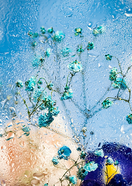 Blue Flowers Through Water Droplets