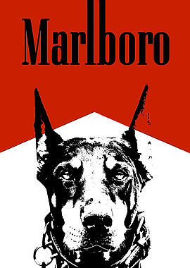 Marlboro Dog Portrait