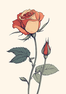Vintage Rose iIllustration