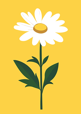 Daisy Flower