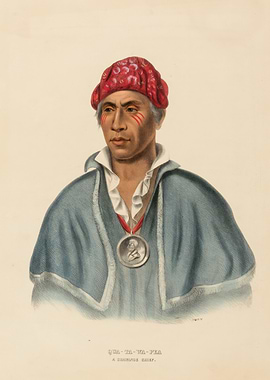 Portrait of Qua-Ta-Wa-Pea, a Shawnee Chief