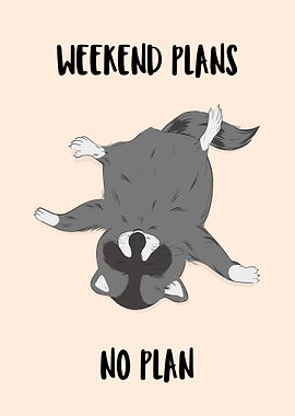 Raccoon with Weekend Plans No Plan