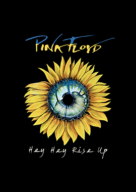 Pink Floyd Sunflower Eye Art