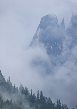 Misty Mountain Peaks and Forest - San Martino di Castrozza