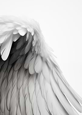 White wings Contemporary art