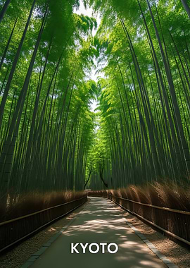 Kyoto Bamboo Forest Path
