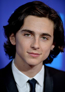 Timothée Chalamet Portrait
