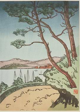 Pine Trees Overlooking a Bay