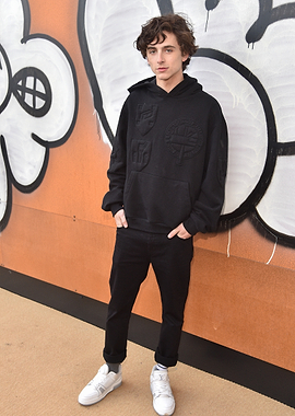 Timothée Chalamet Poses in Black Hoodie