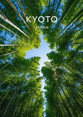 Kyoto Bamboo Forest