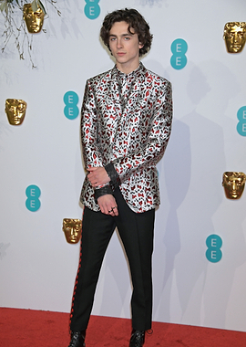 Timothée Chalamet on Red Carpet