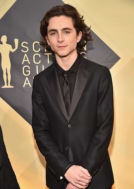 Timothée Chalamet at SAG Awards