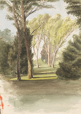 Watercolor painting of a park with trees