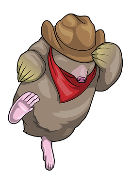 Mole Cowboy Cowboy hat