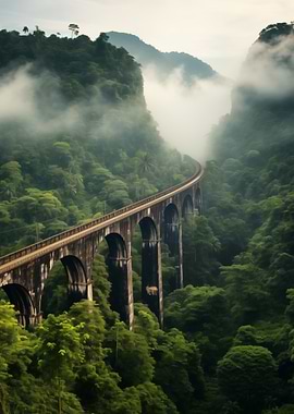 Vintage bridge over the jungle