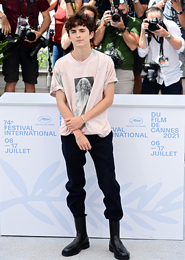 Timothée Chalamet at Cannes Film Festival