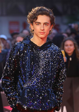 Timothée Chalamet in Sequin Hoodie