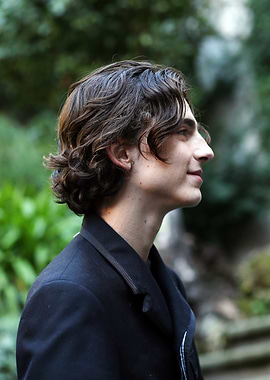 Timothée Chalamet Profile