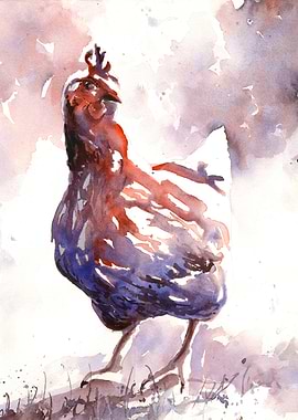 Watercolor Painting of a Chicken