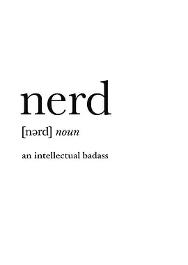 Definition of Nerd