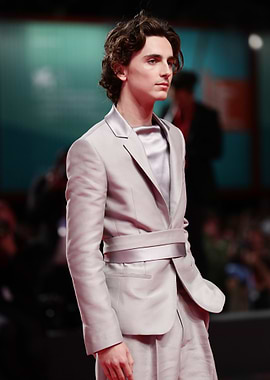 Timothée Chalamet on Red Carpet