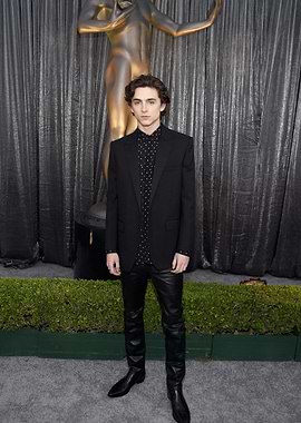 Timothée Chalamet at SAG Awards