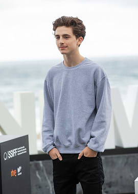 Timothée Chalamet in a Grey Sweatshirt