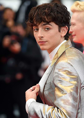 Timothée Chalamet on Red Carpet
