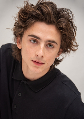 Timothée Chalamet Portrait