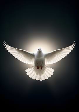 White Dove in Flight