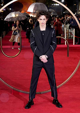 Timothée Chalamet on Red Carpet