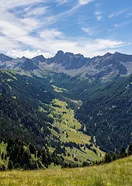 Alpine Valley with Mountains and Forest - Col Valvacin - Buffaure