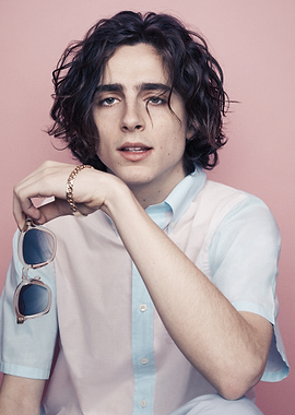 Timothée Chalamet holding sunglasses