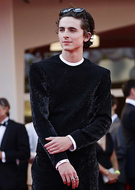 Timothée Chalamet on Red Carpet