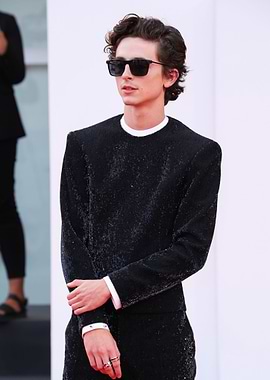 Timothée Chalamet on Red Carpet