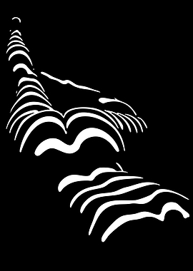 Abstract Zebra Stripes Pattern