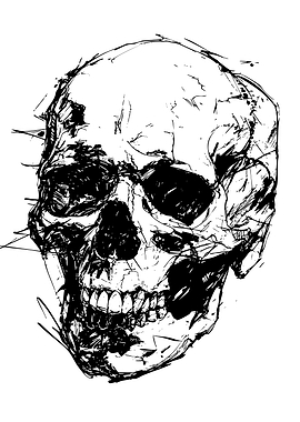 Sketchy Skull Illustration