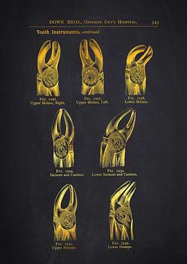 1880 Tooth Instruments Catalog Page