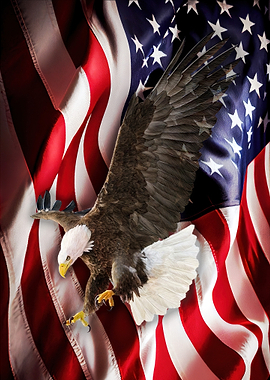Bald Eagle and American Flag