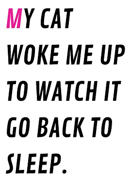 Cat sleep supervisor