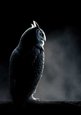 Majestic Owl in Dramatic Lighting