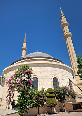Mosque with Minarets and Flowers