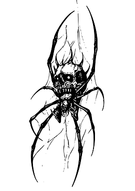 Scary Skull Spider in Web