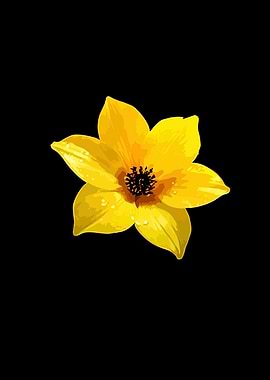 Yellow flower with water droplets