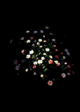 Dark Background with Scattered Daisies
