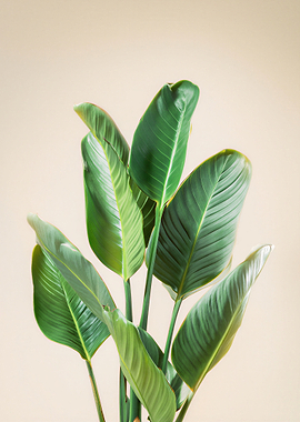 Tropical Green Leaves Minimalist