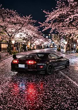 Black Supra Under Cherry Blossoms at Night