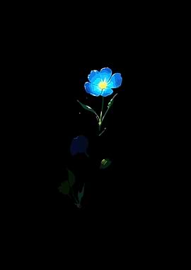 Blue Flower on Black Background